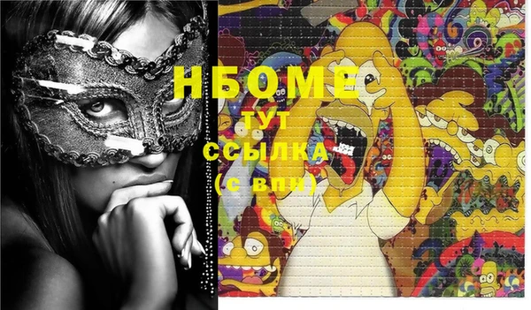 хмурый Нея