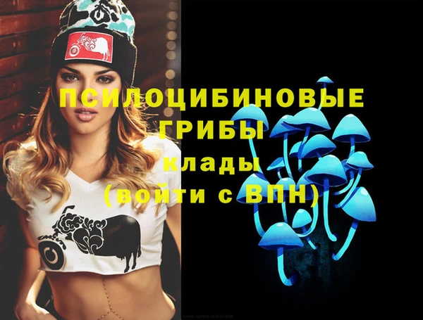 хмурый Нея