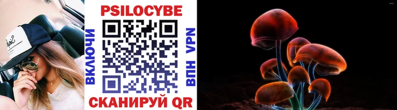 Галлюциногенные грибы Magic Shrooms даркнет Telegram Белый kraken рабочий сайт